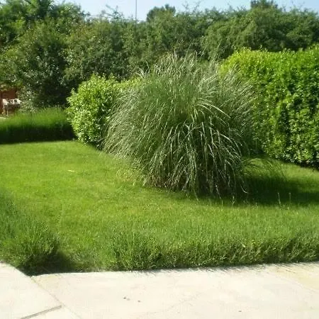 In דירה זאטון
